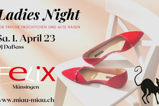 Ladies Night 1.4.jpg
