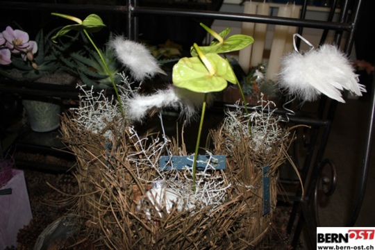 bc2f342eefd5b3595e1e4c5199ed077e.jpg