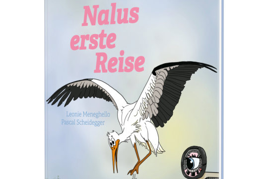 Mockup_Nalu