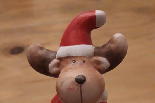 20191210_062937.jpg