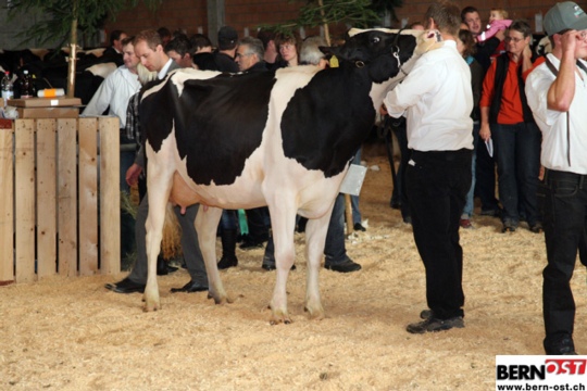 bc96ebdacc0a10d791b683c73886e5ab.jpg