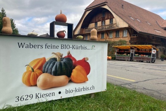 Kornspycher Kiesen