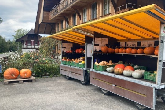 Stand Kürbis Kornspycher