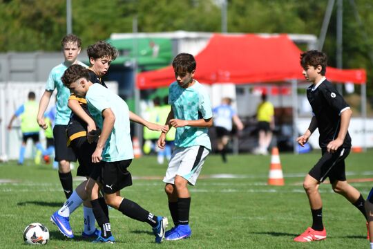 DSC_5310