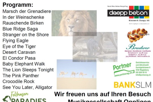Flyer_Fruehlingskonzert_2023_rueckseite_jpg.jpg