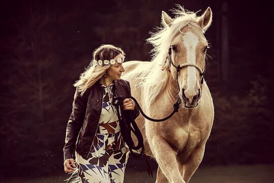 Delfin-Horsetraining Pro cut