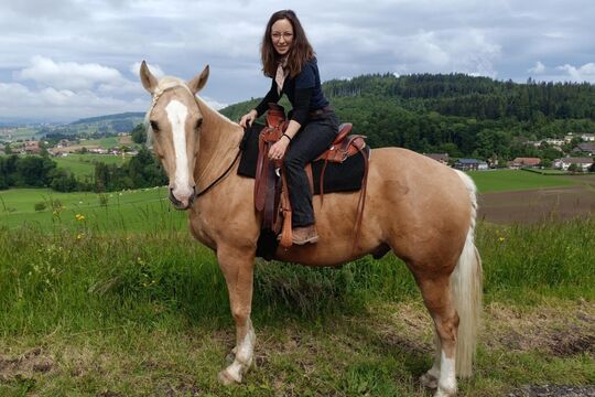 Delfin-Horsetraining Start cut