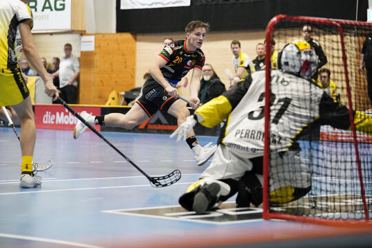 Bild Tigers starten souver&auml;n ins neue Jahr