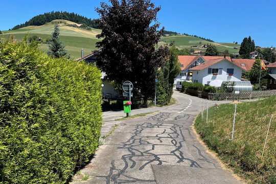 Bild Ja zu 1,2 Millionen Franken f&uuml;r die Riedhalde
