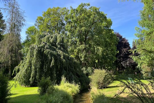 Park-H&uuml;nigen-1.jpg