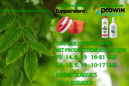 flyer_sommerausstellung (003).tif.png
