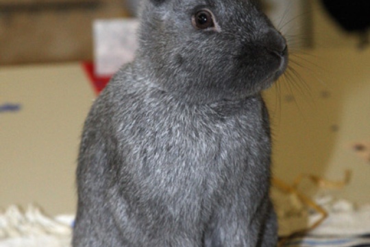 bea632e96702b05575b082ff9e8f1e1d.jpg