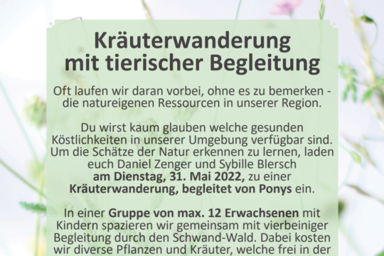 Kräuterwanderung Bild.png