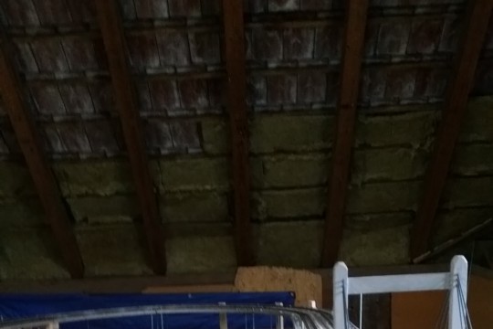 20210808_143112.jpg