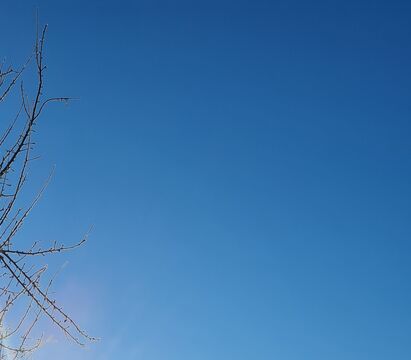 20241225_092703.jpg