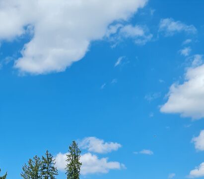 20250518_131819.jpg