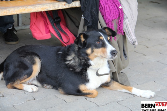 bfdac29cff0169f16e369d46463a3e8a.jpg