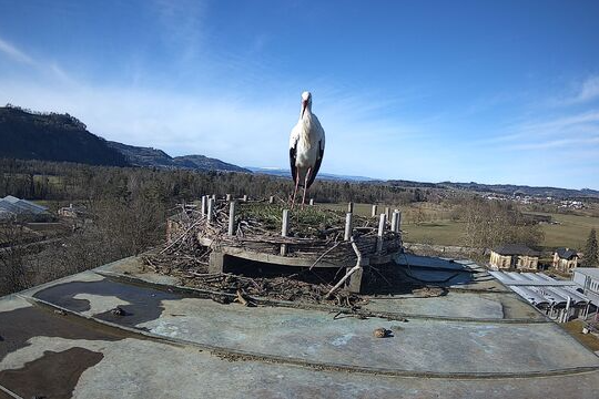 Screenshot 2025-01-27 122954