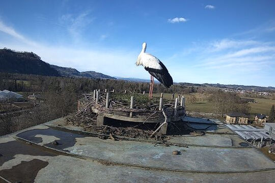 Screenshot 2025-01-27 123013