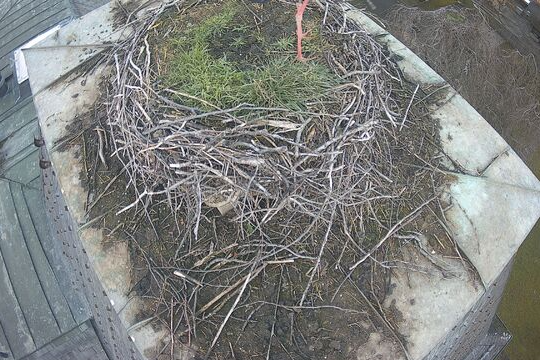 Screenshot 2025-01-27 123035