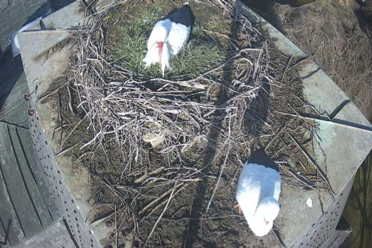 Screenshot 2025-01-27 123257