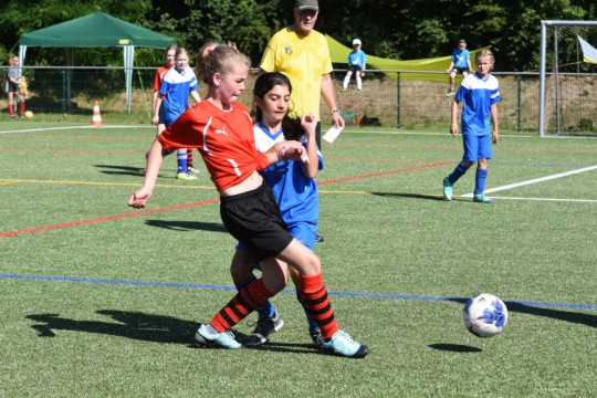 DSC_0711-(2)