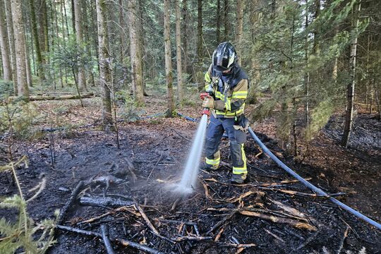 Bild Feuer am Waldrand in Enggistein