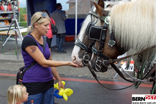 c17340eef555d570a44ba2b0f86a1d06.jpg