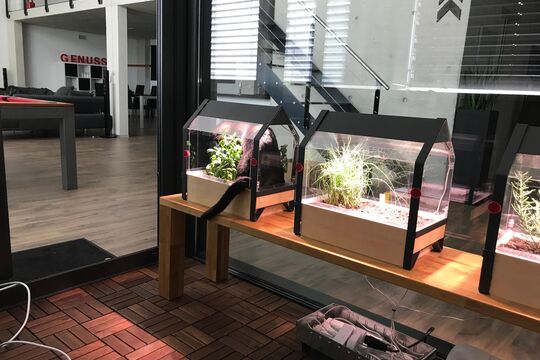 WhatsApp Image 2025-11-24 at 14.43.40.jpeg