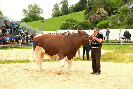 20260510_Rangverk&uuml;ndigung_Lebendpreise_2736
