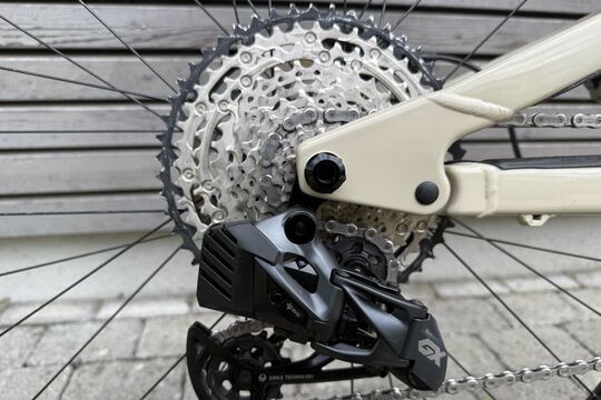 Groß (IMG_2593).jpg