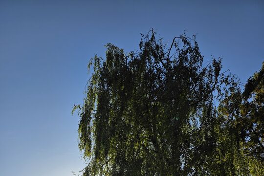 20260906_185919.jpg