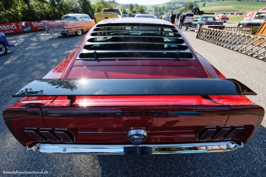 c26dbba399910f9401723c2cb3076d03.jpg