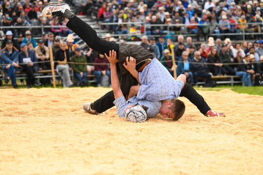 20260510_Schwingen_0472