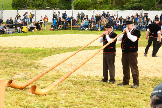 20260510_Schwingen_0677