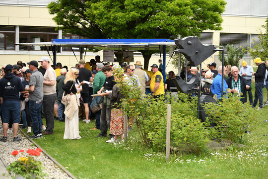 20260510_Schwingen_0953