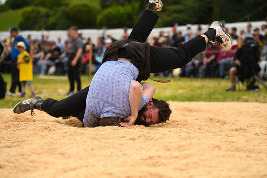 20260510_Schwingen_1848