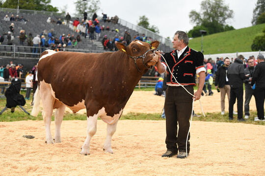20260510_Schwingen_2096_1