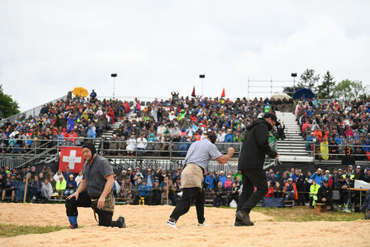 20260510_Schwingen_2313