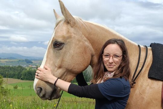 Delfin-Horsetraining cut