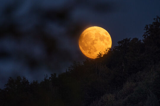 Bild Der Vollmond leuchtete am Abendhimmel