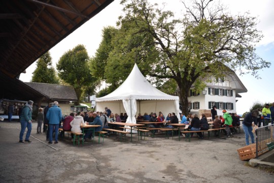DSC_0887 Kopie