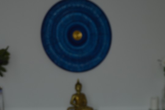 DSC_6850.jpg