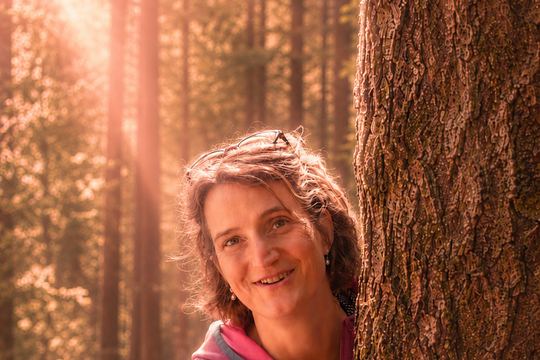 Eliane_Baumstamm_Kontakt.png