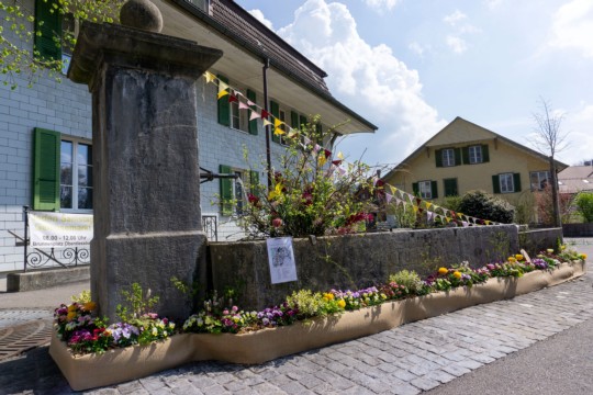 DSC06040