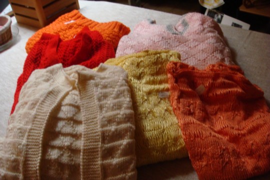 DSC04384.jpg