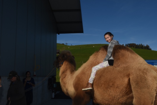 c4d87fd720b0415eaf236013dbbd5262.jpg