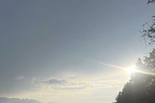 IMG_4267.jpeg