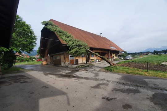 Bauernhaus Oppligen