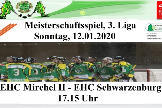 Meisterschaftsspiel 3. Liga, 12.01.2020.jpg